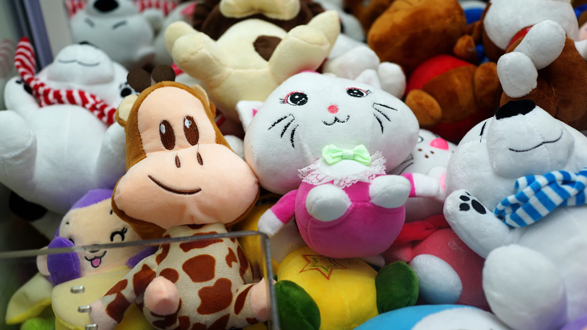 Manter as Pelúcias Sempre Limpas