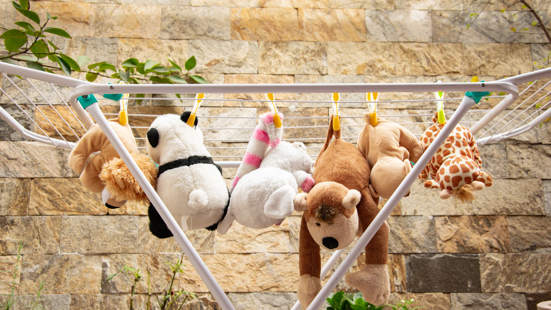 Limpeza de Bichinhos de Pelúcia