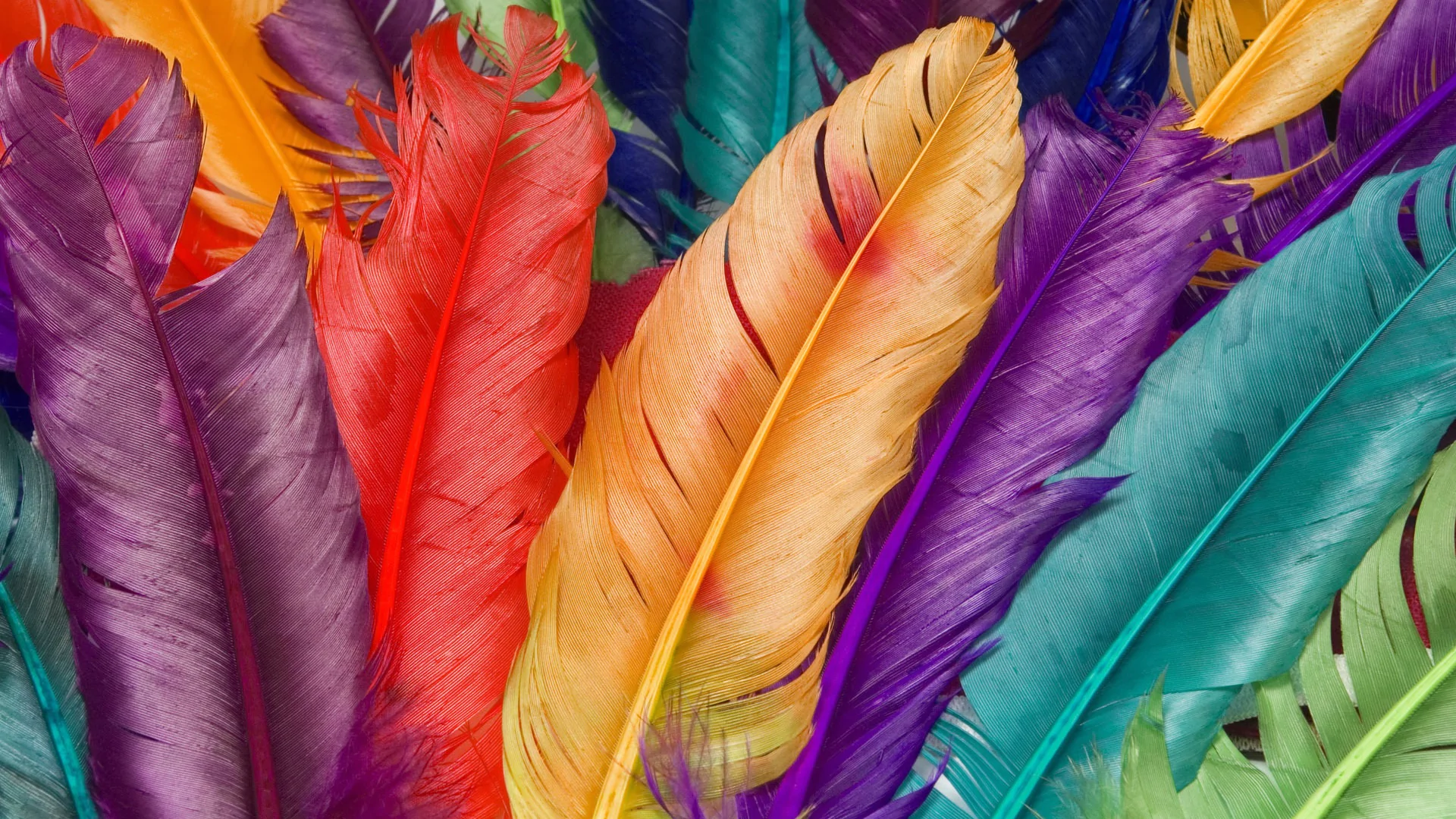 cuidar de roupas com detalhes em penas